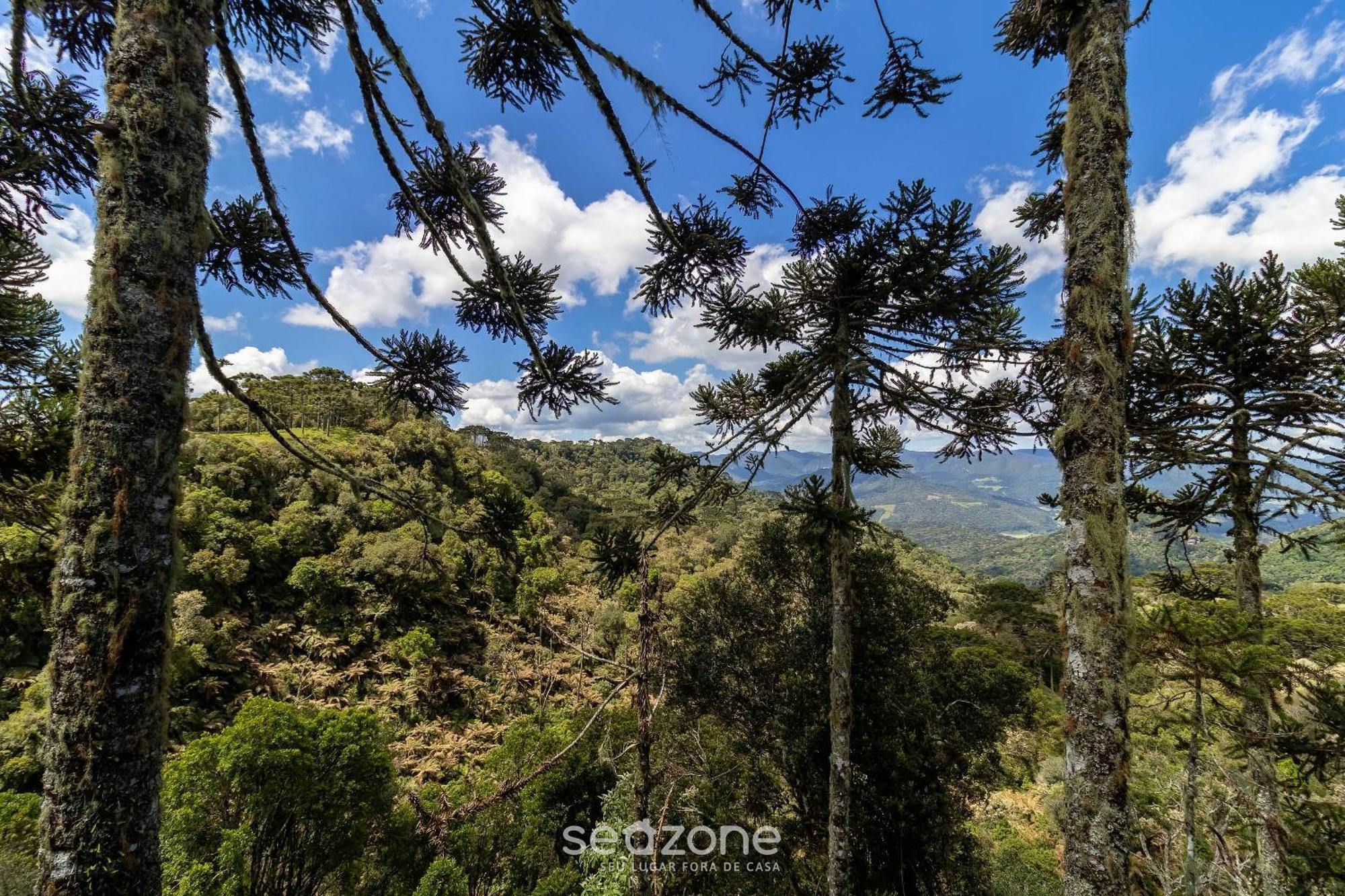 Chales Encantadores Em Urubici/Sc - Par Quarto foto